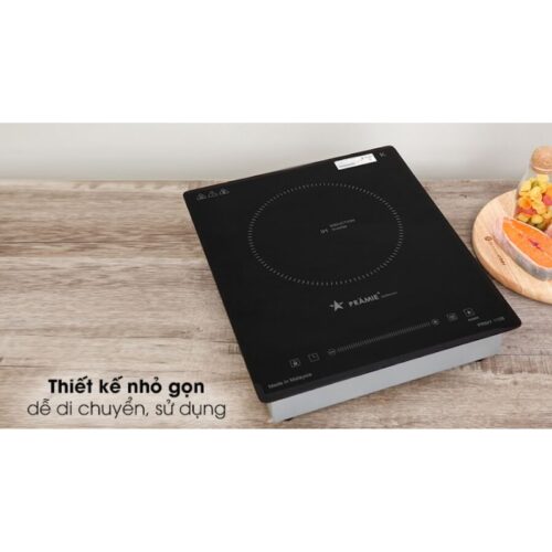 Thiết kế bếp từ mini Pramie PRMY-1108
