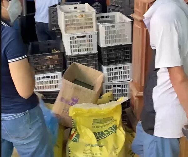5.000 con gà giống, 1.400 gói hạt rau giống các loại, 400 kg gạo, 252 chai dầu gội, 100 bình giữ nhiệt và 50 phích nước đã được gửi tới bà con hai xã