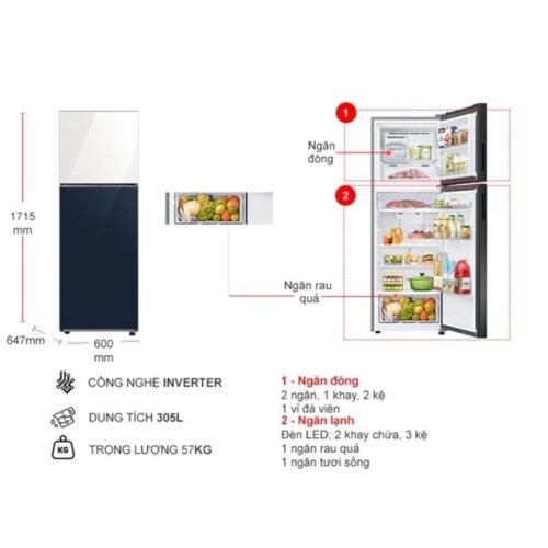 kich thuoc tu lanh 2 canh inverter 305 lit samsung rt31cb56248asv