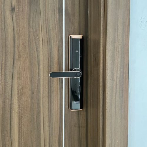 anh khoa van tay thong minh giovani gsl a3br