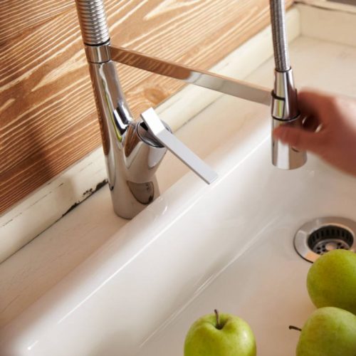 thuc te voi rua bat sanei k8731jvs